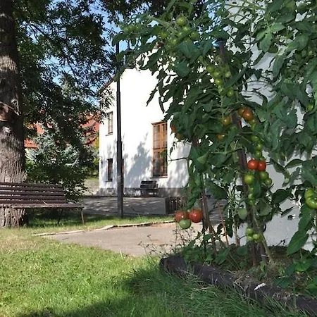 Ξενοδοχείο Waldhotel Forsthaus Droschkau
