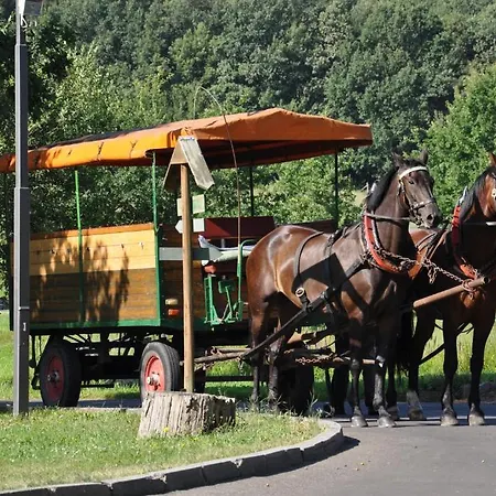 Waldhotel Forsthaus Droschkau Ξενοδοχείο